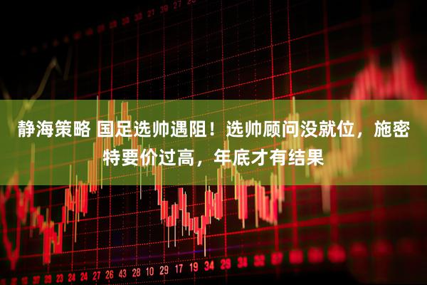 静海策略 国足选帅遇阻！选帅顾问没就位，施密特要价过高，年底才有结果