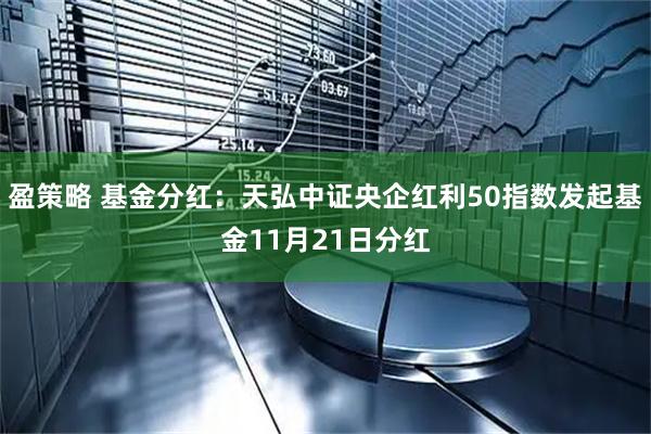 盈策略 基金分红：天弘中证央企红利50指数发起基金11月21日分红