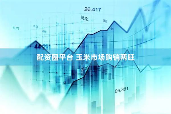 配资圈平台 玉米市场购销两旺