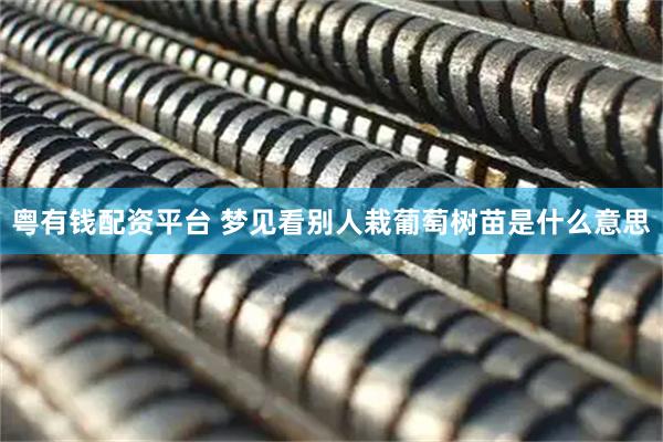 粤有钱配资平台 梦见看别人栽葡萄树苗是什么意思