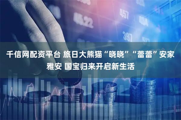 千信网配资平台 旅日大熊猫“晓晓”“蕾蕾”安家雅安 国宝归来开启新生活