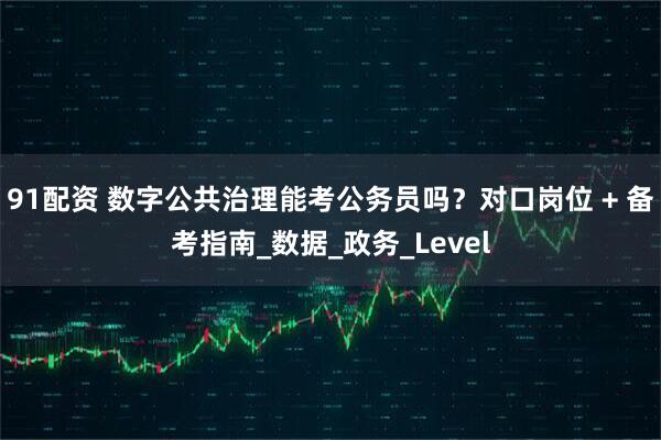 91配资 数字公共治理能考公务员吗？对口岗位 + 备考指南_数据_政务_Level