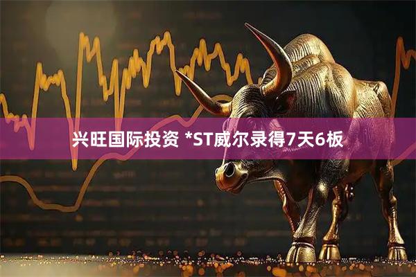 兴旺国际投资 *ST威尔录得7天6板